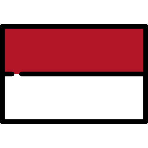 user country flag